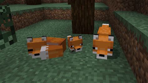 minecraft fox|is minecraft fox breeding realistic.